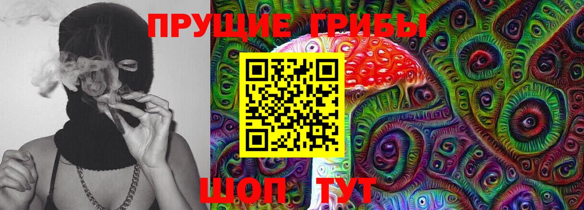 Псилоцибиновые грибы Psilocybe Белорецк