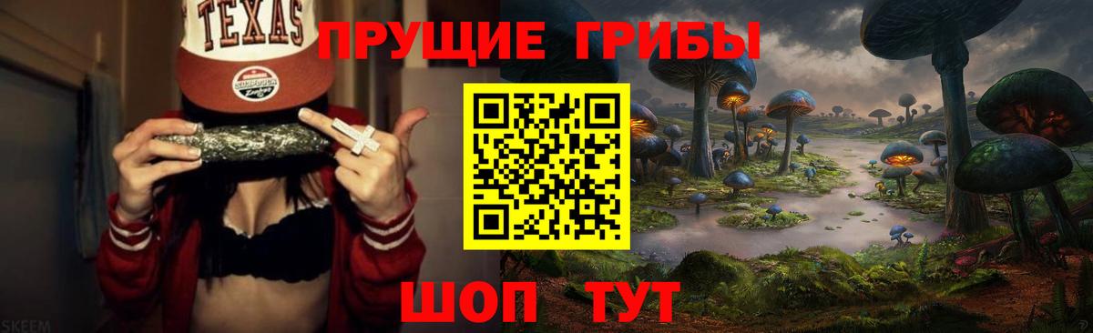 Галлюциногенные грибы прущие грибы  Вход с VPN  Белорецк  Псилоцибиновые грибы мицелий 